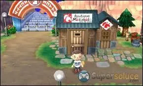 (Moyen) Comment s'appelle le dernier stade de la boutique MéliMélo ?