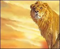 Les lions de Kruger pèsent 230 kg.