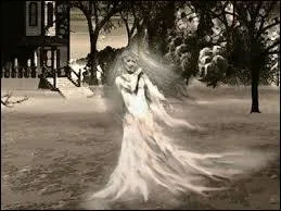 Qui a dit : L'avenir, fantôme aux mains vides, qui promet tout et qui n'a rien !  ?