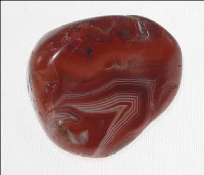 Raisin et vin liquoreux d'Andalousie :