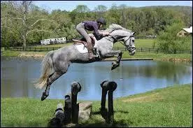 Quelles sont les utilités du hunter ?