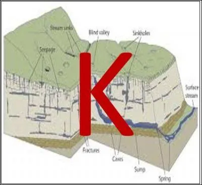 K comme Kartsologie : qu'est-ce que le karts ?