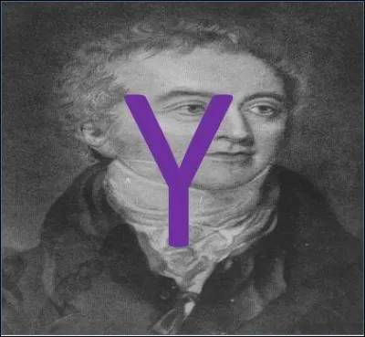 Y comme Young (Thomas) : quelle découverte ont permis les fentes de Young ?