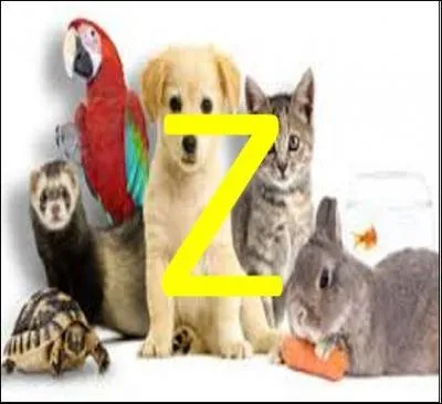 Z comme Zoologie : à quel embranchement appartiennent les vertébrés ?