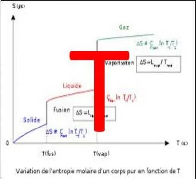 T comme Thermodynamique : que fait une réaction exergonique ?