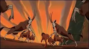 Quel est le titre de la chanson de cette photo ?