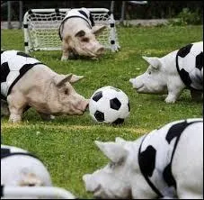 Complétez - Ça m'est égal de perdre tous les matchs si, à la fin de la saison...