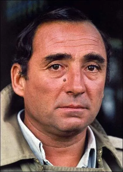 Pierre et Claude Brasseur ont-ils joué ensemble ?