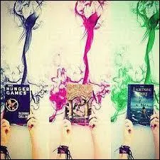 Comment le fantôme qui apparaît uniquement dans le jeu vidéo "Harry Potter : Coupe du monde de quidditch", se nomme-t-il ?