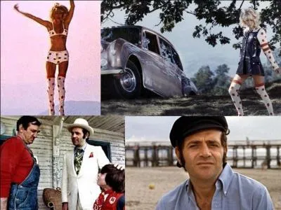 Ce film est une Comédie policière franco-italienne. Il a été réalisé par Gérard Pirès.
Lino Ventura, Jean Yanne, Georges Demestre, Mireille Darc… font partie de la distribution. 
Que de comédie pour un bikini en diamants ! Tout le monde veut le récupérer. On ne peut pas laisser tranquillement cette strip-teaseuse « anémique » se reposer ! 
Quel est ce film ?