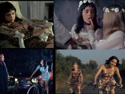 C'est un film d'horreur et un drame français. Il a été réalisé par Joël Séria.
Jeanne Goupil, Catherine Wagener, Michel Robin font partie de la distribution. 
Deux adolescentes, internes dans un pensionnat religieux, décident de ne plus respecter les codes moraux de la société. Elles commettent diverses plaisanteries malsaines et cruelles. Elles sont soupçonnées d'un crime ! 
Quel est ce film ?