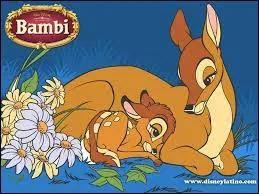 Comment s'est fait tuer la maman de Bambi ?