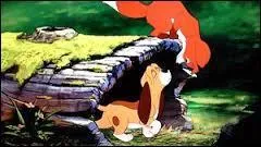 Pourquoi la grand-mère abandonne-t-elle Rox dans la forêt dans "Rox et Rouky" ?