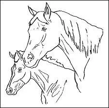 Quelle est la puissance en chevaux du camion présenté ci-dessus ?