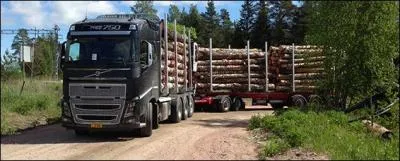 Comment s'appelle ce camion transportant des billes de bois ?
