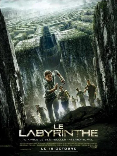 Qui est le réalisateur du deuxième volet du " Labyrinthe" ?