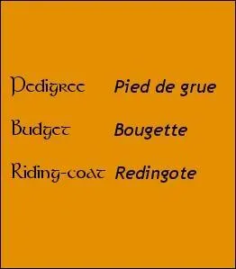 Un nom d'origine franco-normande a &eacute;t&eacute; transcrit par "de Paor" en ga&eacute;lique, et curieusement traduit par "Power" en anglais. Mais quel &eacute;tait son sens premier ?