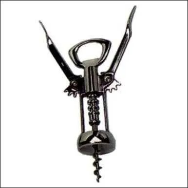 Un autre pr&eacute;sident - et non le moindre - &eacute;tait tr&egrave;s fier de ses origines irlandaises lointaines, les Mac Artan (encore un ourson ! ) ; qui &eacute;tait-il ?