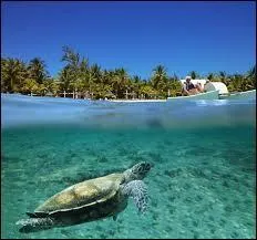 Quel est le département français le plus proche du Pôle Sud ?