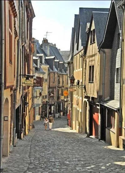 Comment appelle-t-on les habitants de la ville du Mans ?