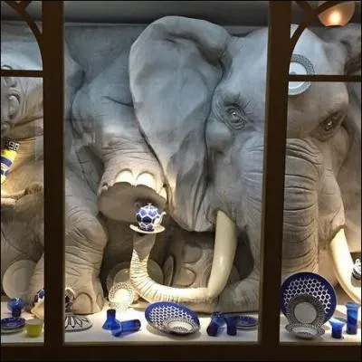Selon l'expression, on peut comparer une personne maladroite à "un éléphant dans un magasin de..." :