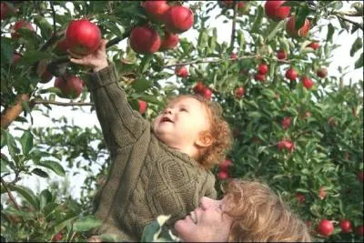 C'est une question empoisonnante, et il y a de quoi s'endormir sur la réponse !