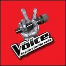 Sur quelle chaîne peut-on voir cette émission ?