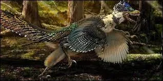 Quel est ce dinosaure qui mesurait 1, 60 à 1, 70 et même 2 mètres ?