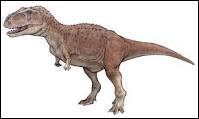 Quel est ce dinosaure qui mesure 6, 5 à 9 mètres de long, 3 m de haut et qui pèse environ 1, 5 tonne ?