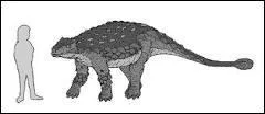 Quel est ce dinosaure qui mesurait 7 mètres de long ?