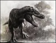 Quel est ce dinosaure qui mesurait 11 de long et 4 mètres de haut ?