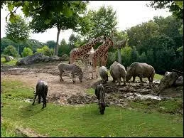 Où est tournée la série ?