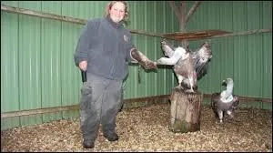 Citez 4 noms d'oiseaux du zoo de la Flèche.