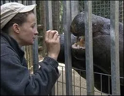 Voici ________. Elle s'occupe du secteur _________.