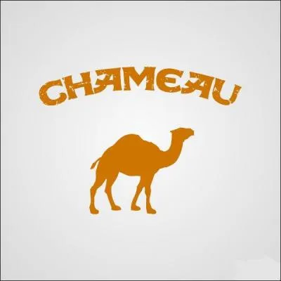 C'est une marque de cigarette, quelle est-elle ?