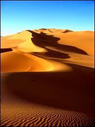 Considéré comme le plus vaste désert chaud du monde, le Sahara s'étend sur le territoire de dix États. Sur quel pays ne s'étend-il pas ?