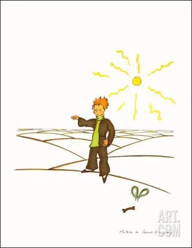 "J'ai toujours aimé le désert. On s'assoit sur une dune de sable. On ne voit rien. On n'entend rien. Et cependant quelque chose rayonne en silence...". De quelle oeuvre est extraite cette citation ?