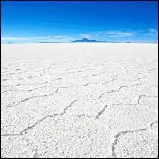 Le salar d'Uyuni est un vaste désert de sel situé sur les hauts plateaux du sud-ouest de :