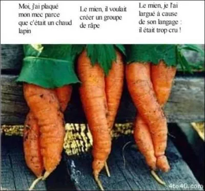 Là non plus vous ne me ferez pas l'affront de ne pas trouver, si je vous dis : 'Poil de carotte'.