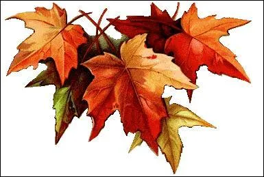 Froid intense, en Suisse :