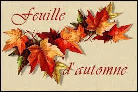 Baguette souple et flexible utilisée par le cavalier pour stimuler ou corriger son cheval :