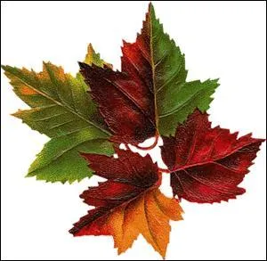 Petit biscuit salé croustillant :