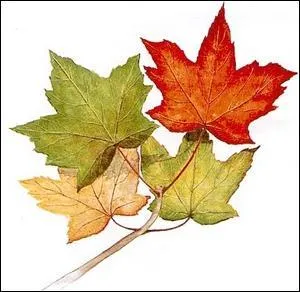 Rouge carmin foncé :