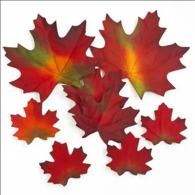 Jeu de cartes pratiqué par deux joueurs disposant chacun de 52 cartes :