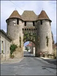 Gérard Depardieu est né dans l'Indre :