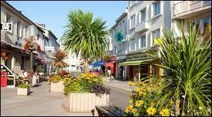 Nous retournons en Bretagne. Nous déambulons dans les rues de Saint-Brévin-les-Pins, ville située sur ...