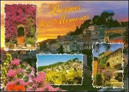 Roger et Marcelle sont de retour de leurs vacances à Bormes-les-Mimosas. Ils se trouvaient sur ...
