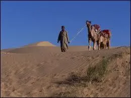 Qui a réalisé le film "Déserts" ?