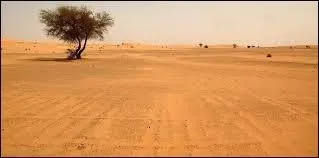 Durant la période dite du Désert, quelles personnes devaient se cacher pour survivre en France ?