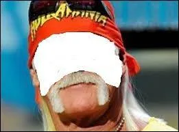 Quelle phrase colle à ce poilu ?